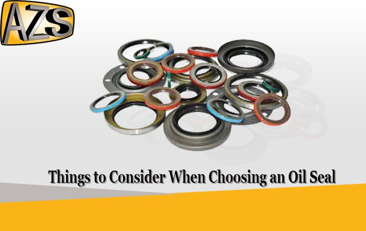Things to Consider When Choosing an Oil Seal