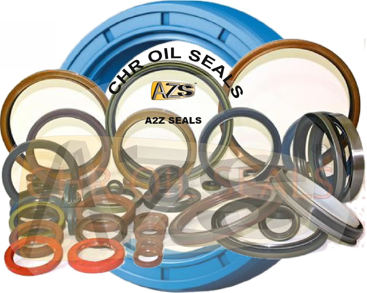 CHR Oil Seal | Quality CHR Oil Seal - Get Yours Now at A2Z Seals!
