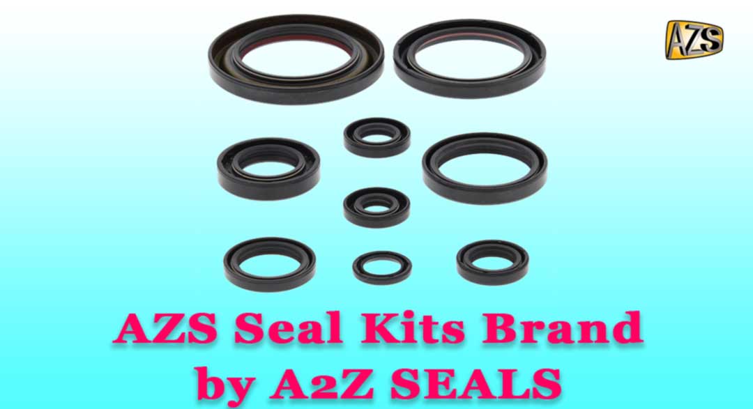 AZS-991-00097 A2Z SEALS 991*00097 JCB Seal Kit AZS Replacement 99100097 